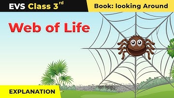 Class 3 EVS NCERT Chapter 24 | Web of Life - Explanation
