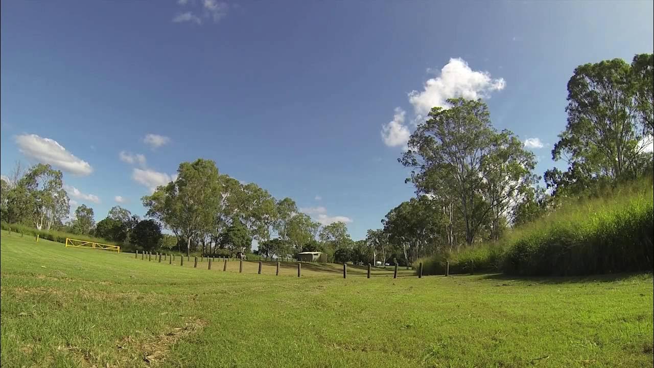 Calliope River Camping Ground, Calliope River, Near Gladstone, QLD