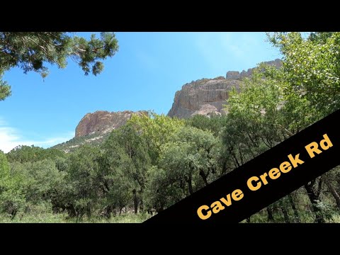 Cave Creek Rd // Portal, AZ