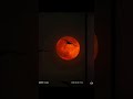 Xiaomi 15 Ultra | Moonlight zoom and quick shot mode. Yakınlaş ve anı hızlı yakala.