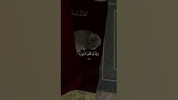إِنَّ اللَّهَ يَغْفِرُ الذُّنُوبَ جَمِيعًا ۚ |القارئ ماهر المعيقلي.