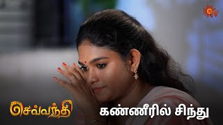 உங்களுக்கு எல்லாமே நல்லதாவே நடக்கும் ❤️ | Sevvanthi - Semma Scenes | 14 May 2024 | Sun Tv