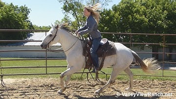 Doc - riding in the roundpen - ValleyViewRanch.net