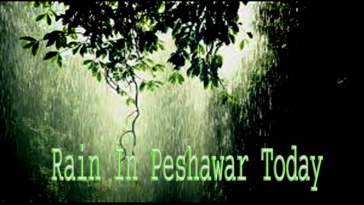 Сегодня в Пешаваре идёт дождь | Media Art5