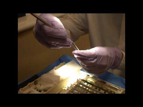 instrument-sharpening-unh