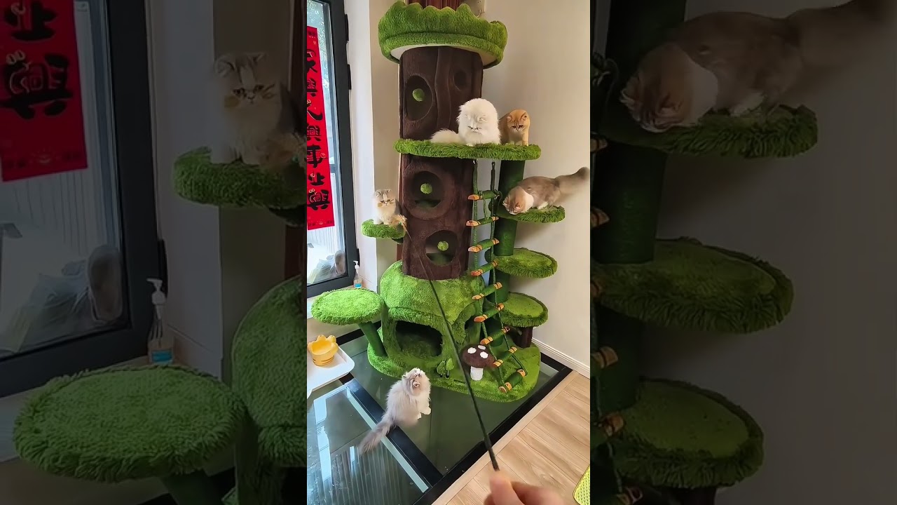 Mega Jungle Cat Playground Climbing Tree🌿🏰 