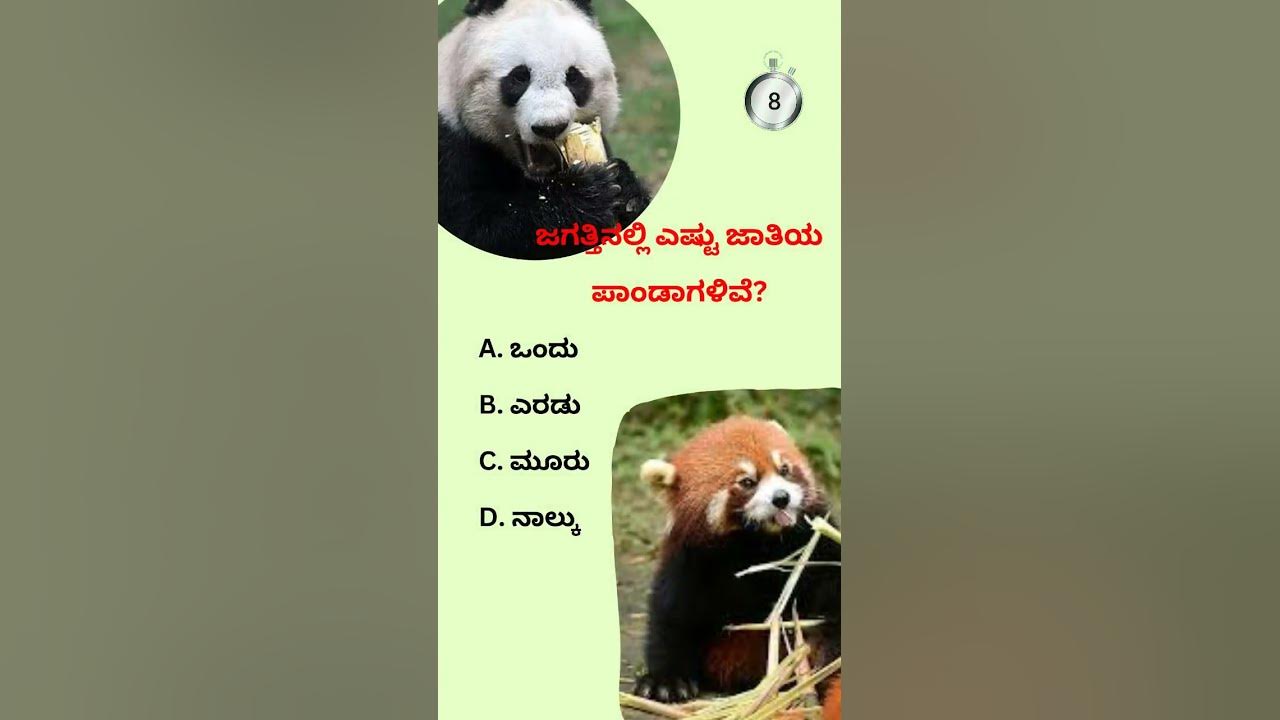 Red Panda | Current Affairs Quiz | Uthara Current Affairs - YouTube