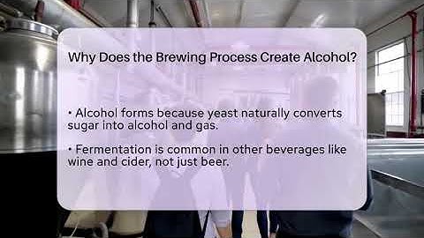 Why Does the Brewing Process Create Alcohol? | The Pint Guy