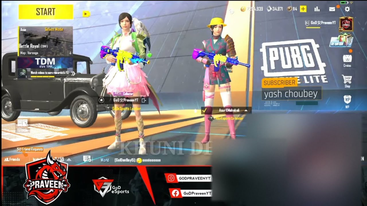 Insane Lion Attitude  