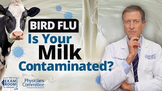 Bird Flu: Is Your Milk Safe? | Dr. Neal Barnard  Exam Room Podcast Q&A