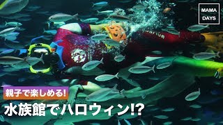 親子で楽しめる！水族館でハロウィン!?