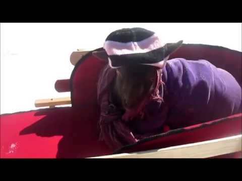 Goat enjoys Sled ride