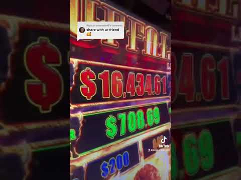 My friend won the GRAND JACPOT with the 🍀 lucky money🍀 I gave him #casino #slots #slotwins