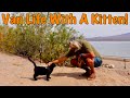 Van Life With A Kitten!