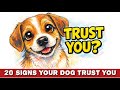20 Signs your dog trust you 🐶 | Does your dog really trust you