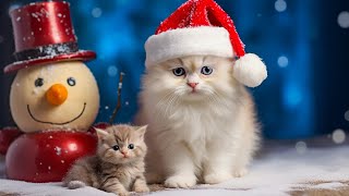 Peaceful Christmas for Cat Relaxation - Anti-Stress Piano Music for Cats and Kittens | Cat Music
