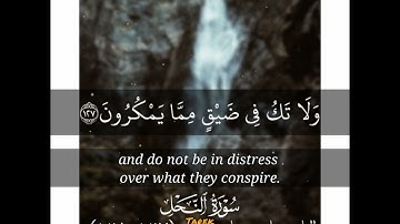 حالات واتس قرانيه للقارئ الشيخ فارس عباد سوره النحل قران كريم تلاوه خاشعه( اصبر وما صبرك الا بالله)