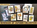 Beautiful serenade of autumn collection w spellbinders  teamspellbinders neverstopmaking