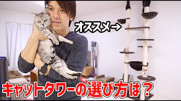 ヒカキン キャットタワー