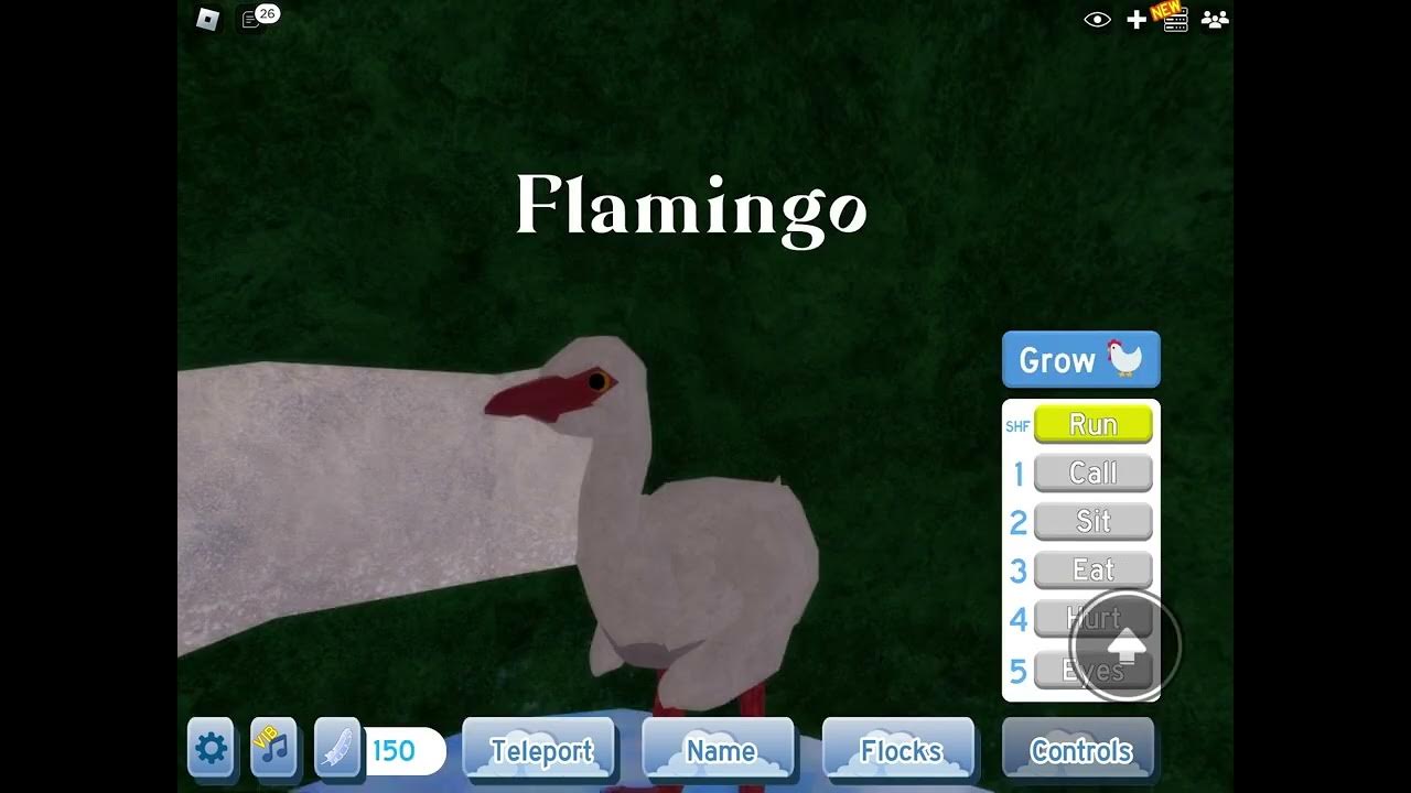 All feather family sounds YouTube