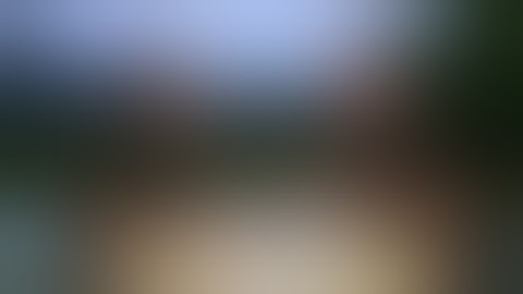 Empower Network Viral Blogging System to get Leads for Your business