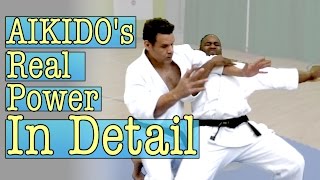 Aikidos Real Power In Detail