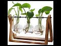 Cute plant stand for small spaces 🌱Link in comments! #HomeDecor #AmazonFinds #PlantStand