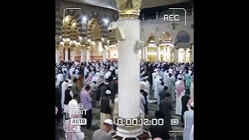قبس من الحرم سورة الطارق الشيخ #علي_الحذيفي