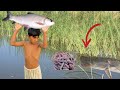 Rohu Machli Ka shikar #fishing #Newfishvideo
