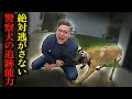 警察犬が犯人を捕らえる瞬間