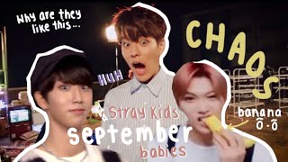 Things Stray Kids have done/said that shouldn't be real but are (September babies edition)