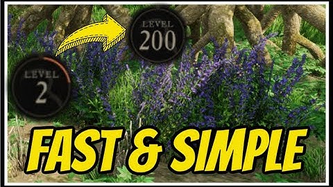 Harvesting 1-200lvl Fastest Leveling Guide New World
