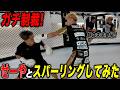 井原良太郎の肋を痛めたせーや君に制裁スパー!と思ったら急遽朝倉未来が現れて…⁈