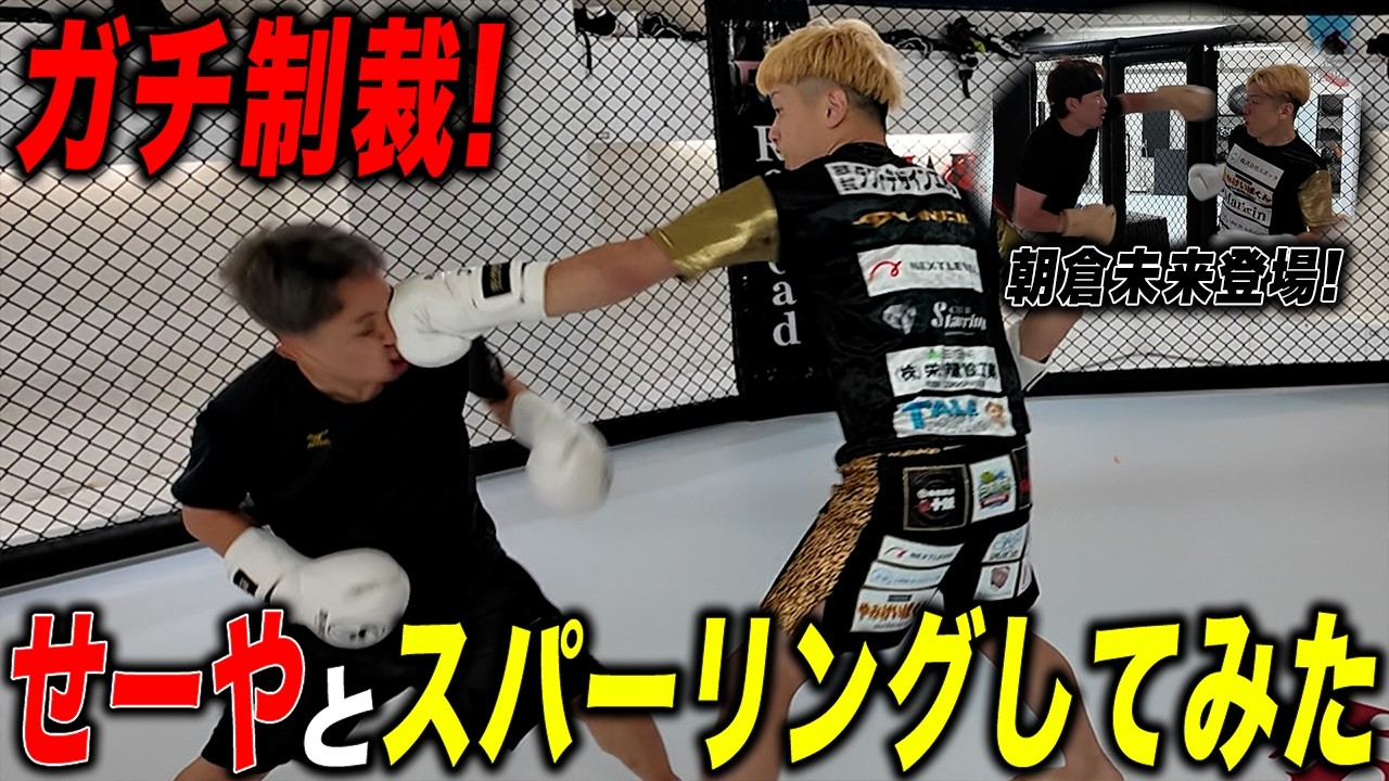 井原良太郎の肋を痛めたせーや君に制裁スパー！と思ったら急遽朝倉未来が現れて…⁈