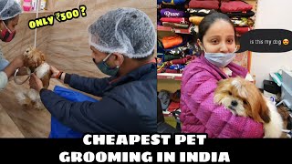 Best pet grooming in Delhi, pet accessories and food at cheapest price