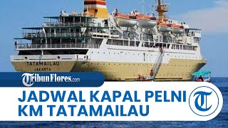 Pelni Ship KM Tatamailau Schedule: November 1-13, 2025, Arrives in Timika on the 3rd and 9th, Doc...