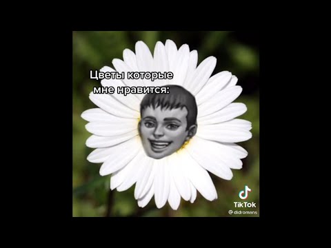[🖤]ПОДБОРКА ВИДЕО ИЗ ТИК ТОКА[🤍]|1/?|✨{Tiny bunny, Зайчик}✨🍵‡Lipton's‡🍵