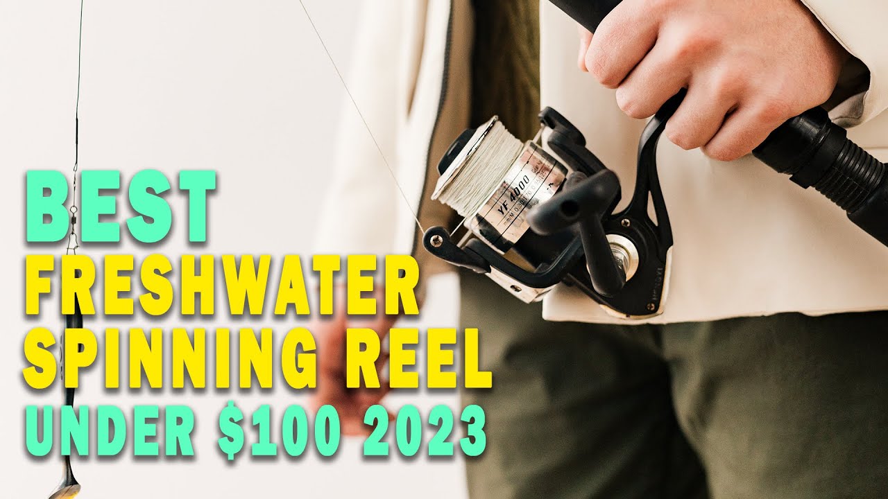 The 8 Best Freshwater Spinning Reel Under $100 for 2023 