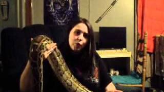 Celebrity The Python Ban! Part 1 of 2 Profile