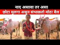 नाद असावा तर असा छोटा मुलगा असून संभाळतो मोठा बैल/बैलगाडा शर्यत/#Bailgada Sharyat