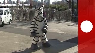 Tokyo zoo holds zebra escape drill with a twist