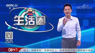 《生活圈》 20200831| CCTV