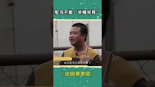 鸵鸟竟然也有“早婚”一说，而且还会影响出壳率！| 三农小课堂