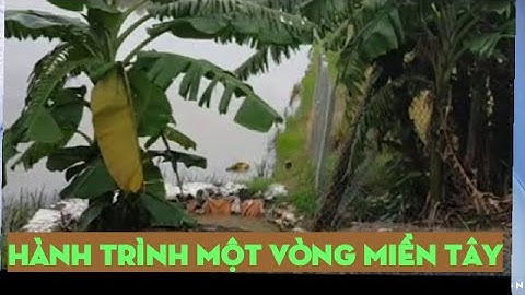 Ký ức miền Tây /Quê hương tháp mười mùa nước nổi / Bình vlog thôn dã.#2