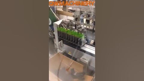 Parallel Robot Case Packaging Line