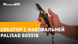 ⚔️ Секатор с наковальней Palisad 605518 ✔️ Краткий ОБЗОР 🌿  Планета Агро