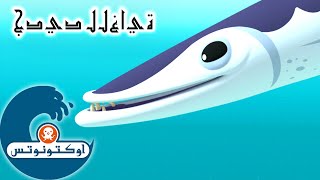 9 أوكتونوتس | الباراكودا | السلسلة 3 | الحلقة