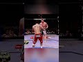 Brock Lesnar Vs Frank Mir II
