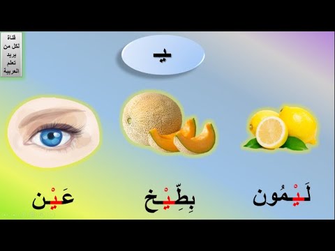 حرف الياء كلمات حرف الياء أشكال حرف الياء كلمات حرف ي   الدرس 48