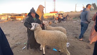 سوق سبت ادويب حولي العيد الأضحى نصيحة قبل شراء اضحية العيد ضروري تسمع هاد الكلام 2024